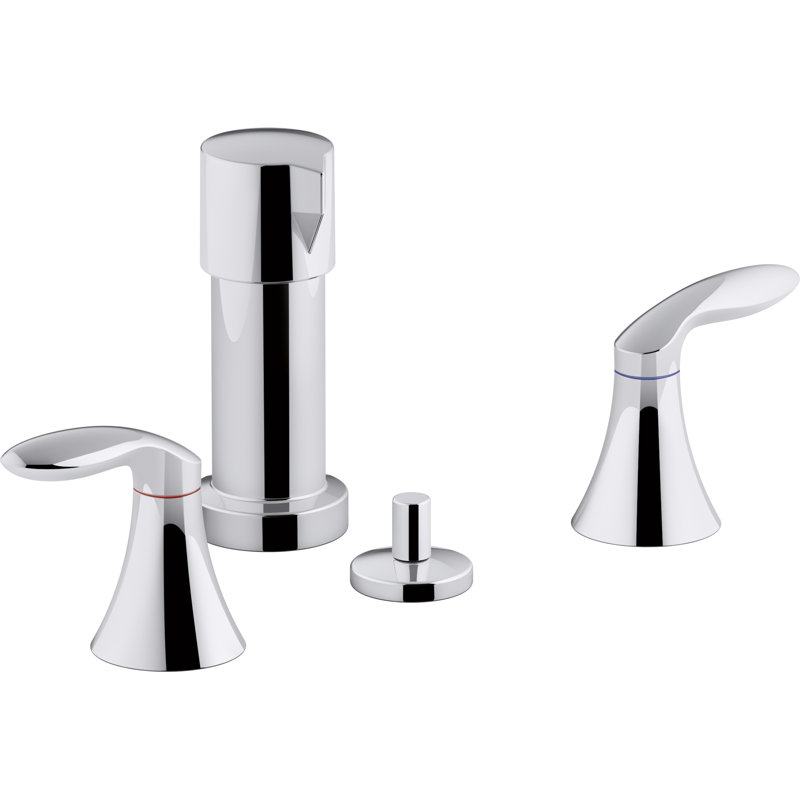 Kohler Coralais Vertical Spray Bidet Faucet with Lever Handles Wayfair